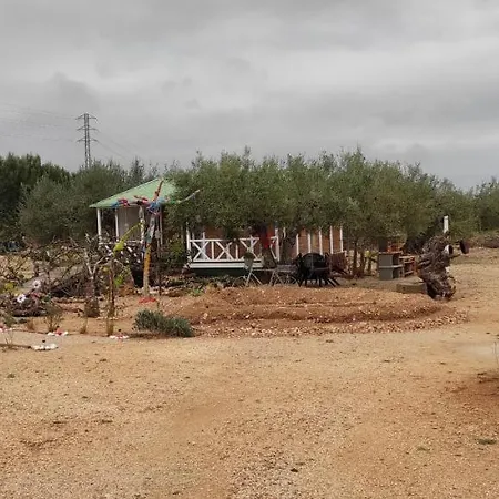 Eden